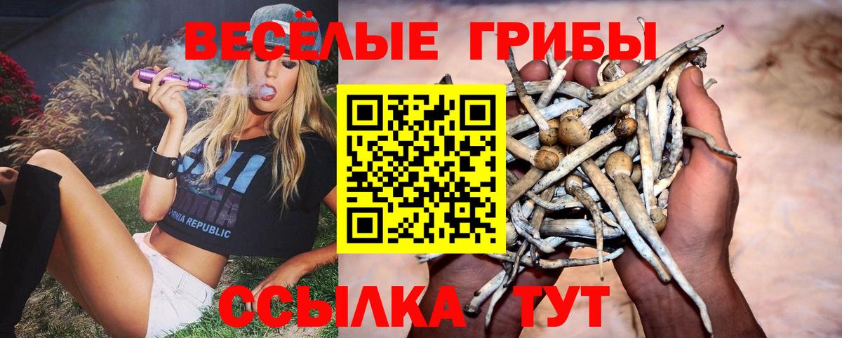 Уварово  Галлюциногенные грибы мухоморы  Вход с VPN 
