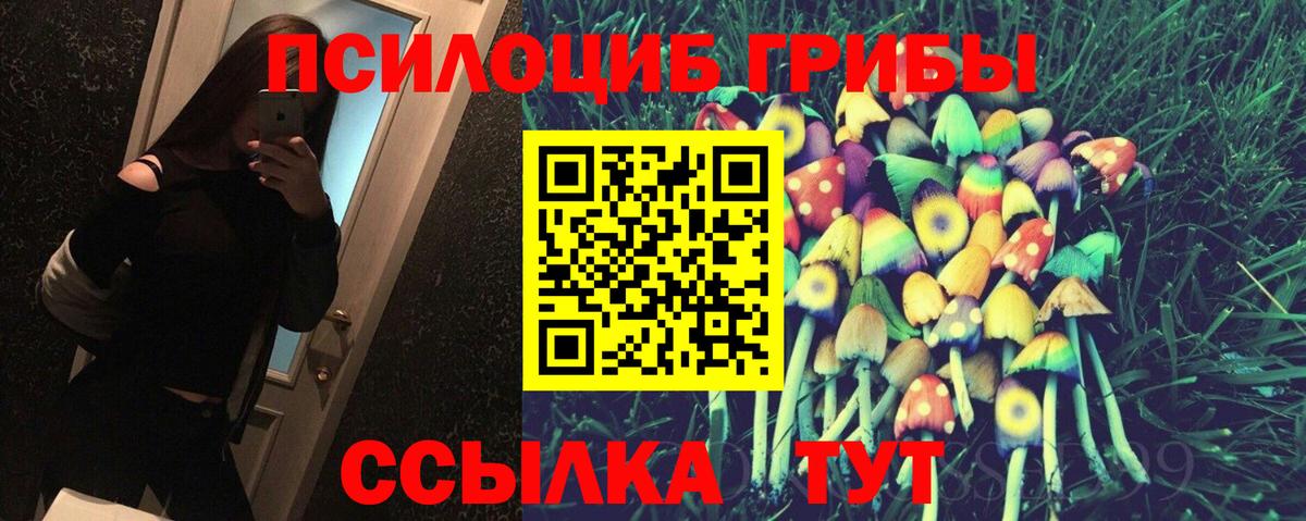 Псилоцибиновые грибы прущие грибы Уварово